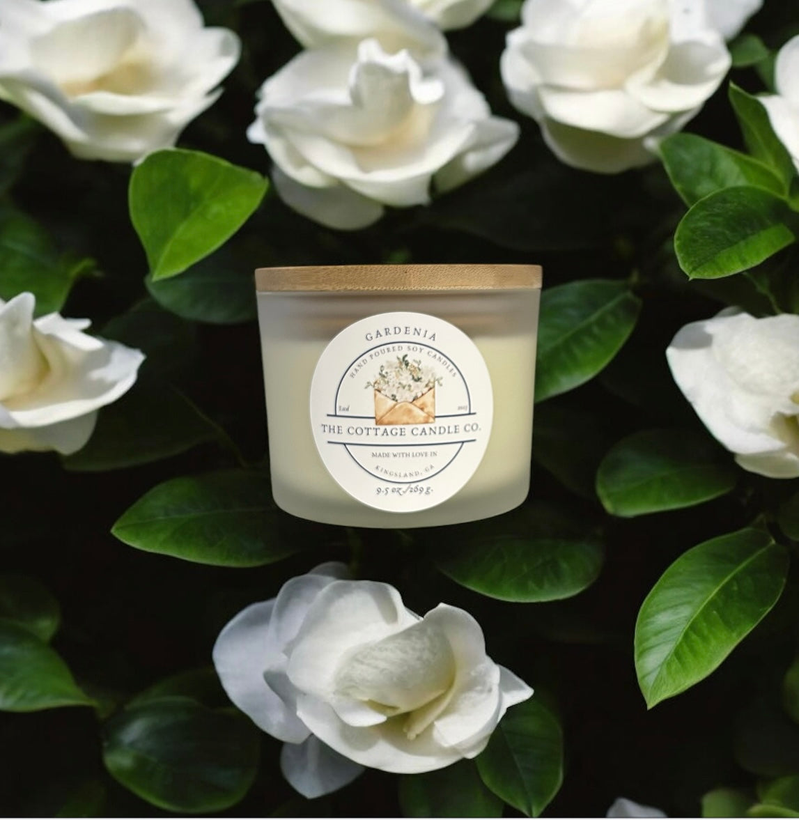 Gardenia
